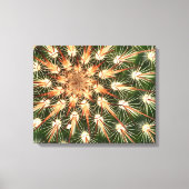 Toile Cactus épines orange et blanche (Recto)