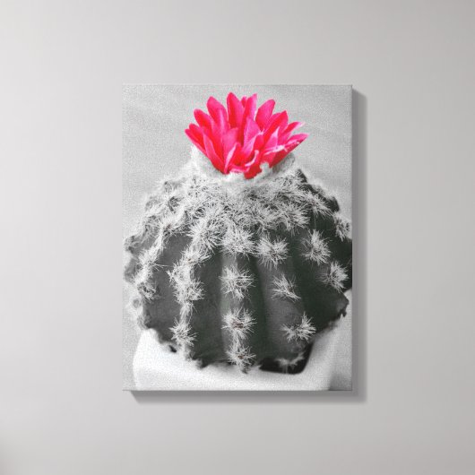 Toile Cactus Plante noir blanc photo avec Fleur rose (Recto)