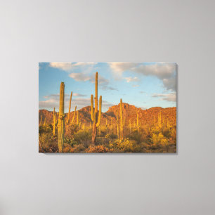 Toile Cactus saguaro au coucher du soleil, Arizona