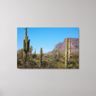 Toile Cactus saguaro dans le désert de Sonora en Arizona