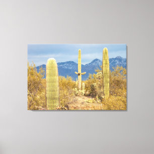 Toile Cactus Saguaro dans un paysage désertique