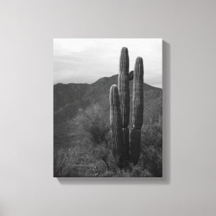 Toile Cactus Saguaro noir et blanc dans les collines 11x