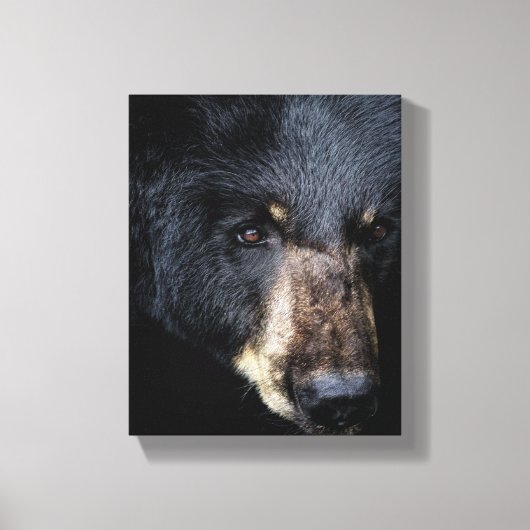 Toile Cades Cove Black Bear Canvas Imprimer (Recto)