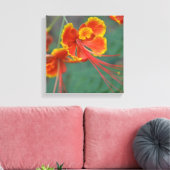 Toile Caesalpinia (Insitu(Salon))