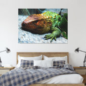 Toile Caiman du Nord Lizard Dracaena Guianensis (Insitu(Chambre))