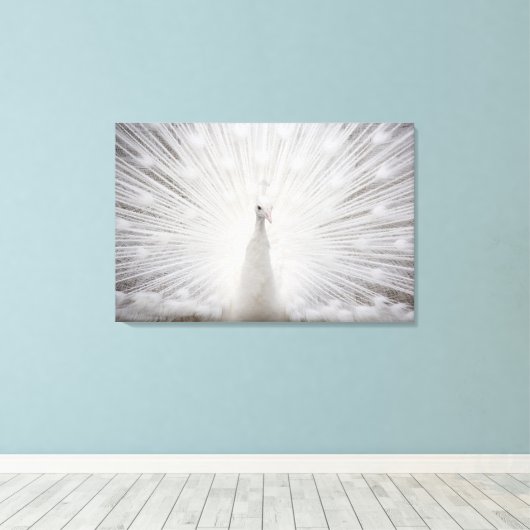 Toile Calcaire blanc (Insitu (Plancher de Bois))