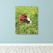 Toile Calcul dormant (Insitu (Plancher de Bois))