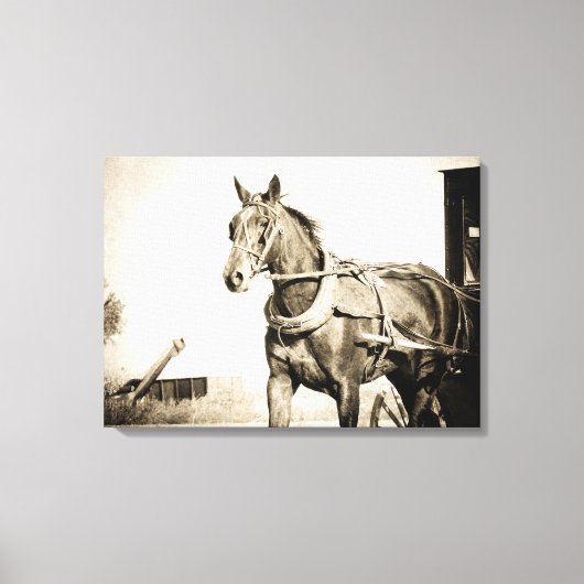 Toile Calèche amish en sépia (Recto)