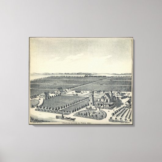 Toile Caledonia Vineyard Comté, Fresno (Recto)