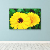 Toile Calendula Officinalis (Insitu (Plancher de Bois))