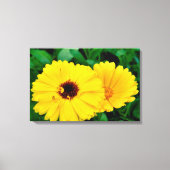 Toile Calendula Officinalis (Recto)