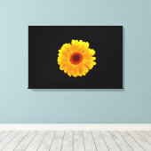 Toile Calendula Officinalis (Insitu (Plancher de Bois))