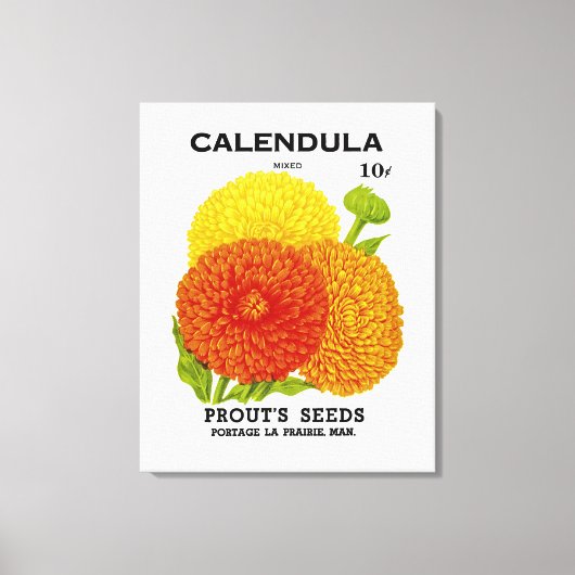 Toile Calendula Vintage Seed Packet (Recto)