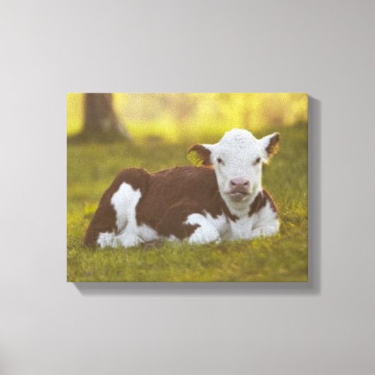 Toile Calf Repose (Recto)