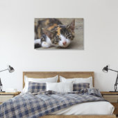 Toile Calico Kitten (Insitu(Chambre))