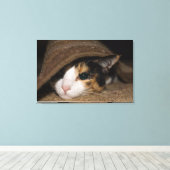 Toile Calico Taco (Insitu (Plancher de Bois))