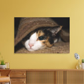 Toile Calico Taco (Insitu(Salon))