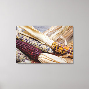 Toile California. Affaire Harvest Colorful Indian Corn