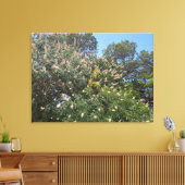 Toile California Buckeye (Insitu(Salon))