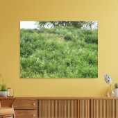 Toile California Green (Insitu(Salon))