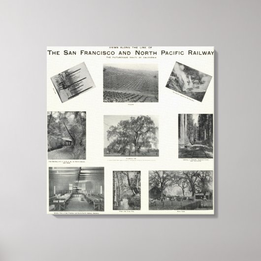 Toile Californie 4 (Recto)