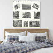 Toile Californie 4 (Insitu(Chambre))