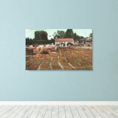 Toile CalifornieVue des pêches séchant au soleil (Insitu (Plancher de Bois))