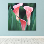 Toile Calla Lilies Fleurs Roses (Insitu (Plancher de Bois))