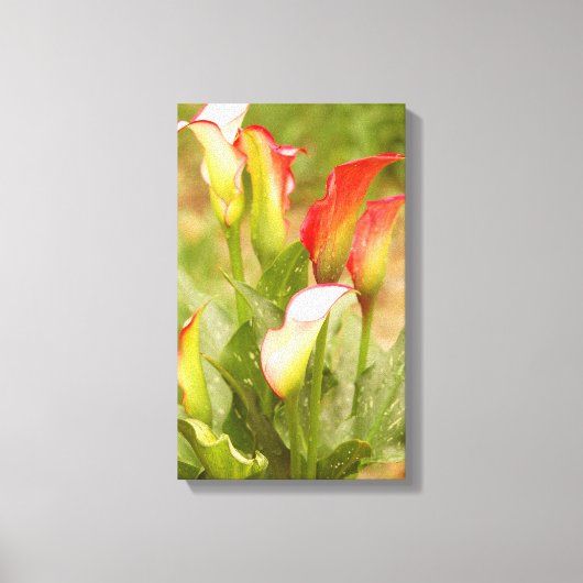 Toile Calla Lily Canvas (Recto)