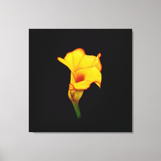 Toile Calla lily jaune (Recto)