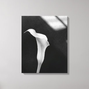 Toile Calla Lily noir et blanc