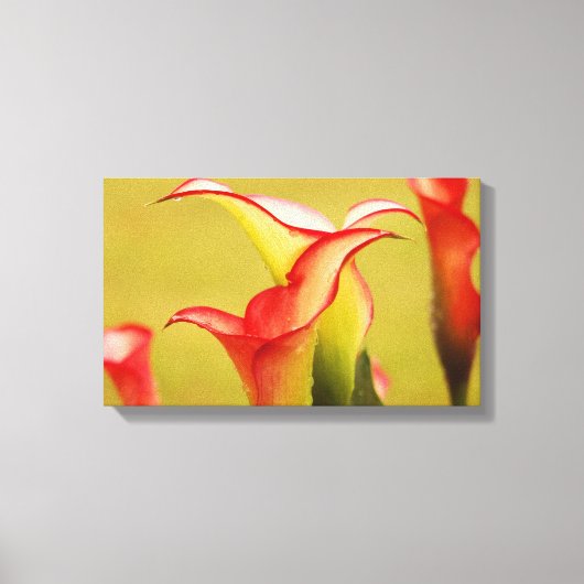 Toile Calla Lily Wall Art (Recto)