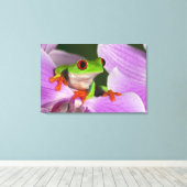 Toile Callidryas d'Agalychnis (Insitu (Plancher de Bois))