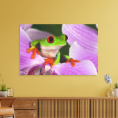 Toile Callidryas d'Agalychnis (Insitu(Salon))