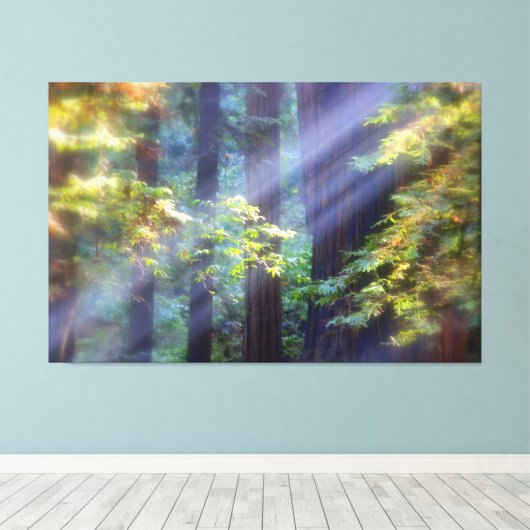 Toile Calming Foggy Forest of Fall (Insitu (Plancher de Bois))