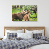 Toile Calves d'orignal (Insitu(Chambre))