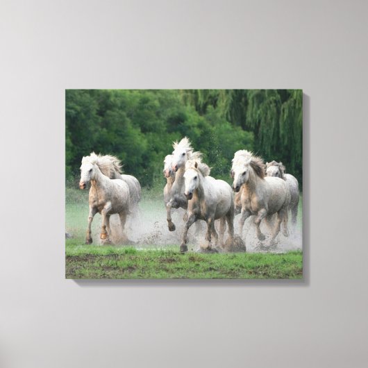 Toile Camargue Chevaux courant dans l'eau (Recto)