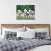 Toile Camargue Chevaux courant dans l'eau (Insitu(Chambre))