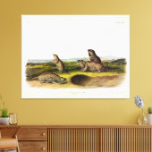 Toile Camas Rat (Northern Pocket Gopher) par Audubon (Insitu(Salon))