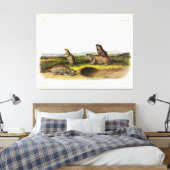 Toile Camas Rat (Northern Pocket Gopher) par Audubon (Insitu(Chambre))