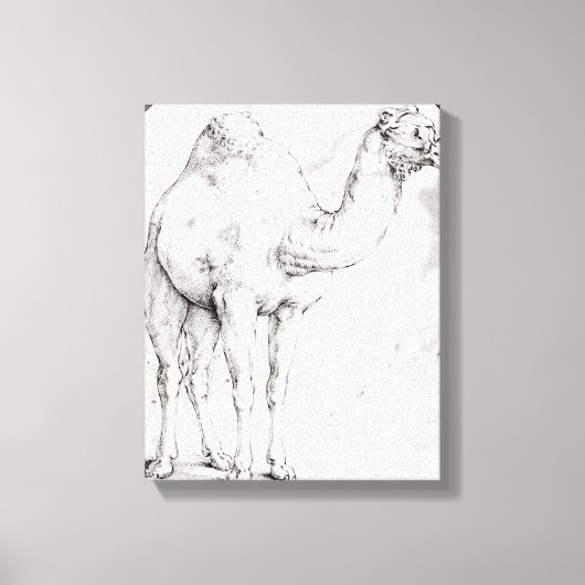 Toile Camel (Recto)