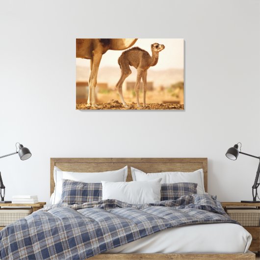 Toile Camel bébé (Insitu(Chambre))