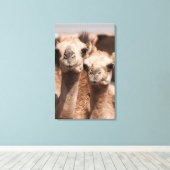 Toile Camels au marché Camel à Al Ain près de Dubaï (Insitu (Plancher de Bois))