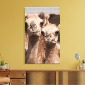 Toile Camels au marché Camel à Al Ain près de Dubaï (Insitu(Salon))