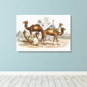 Toile Camels of India Illustration Vintage, 1820 (Insitu (Plancher de Bois))