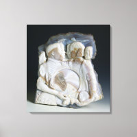 Cameo depicting Cosimo de Medici (1519-74) and his