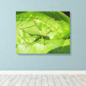 Toile Camouflage Cricket Vert Imprimer (Insitu (Plancher de Bois))