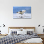 Toile Canada, Colombie-Britannique, île de Vancouver, (Insitu(Chambre))