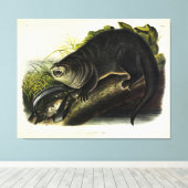 Toile Canada Otter (River Otter) - Quadrupeds d'Audubon (Insitu (Plancher de Bois))
