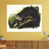 Toile Canada Otter (River Otter) - Quadrupeds d'Audubon (Insitu(Salon))